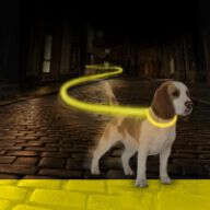 DUVO+ Hunde-Joggingleine USB Flash Light